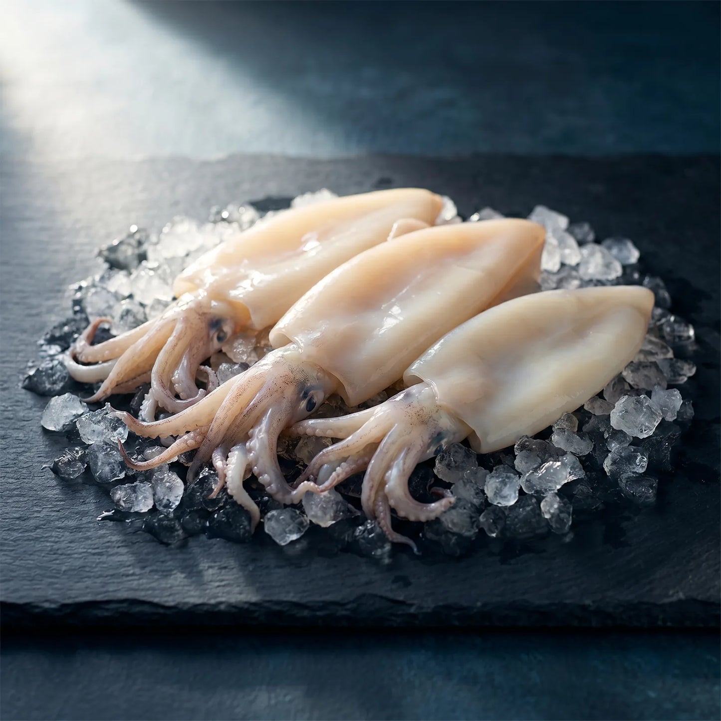 Calamar T Y T 3-5