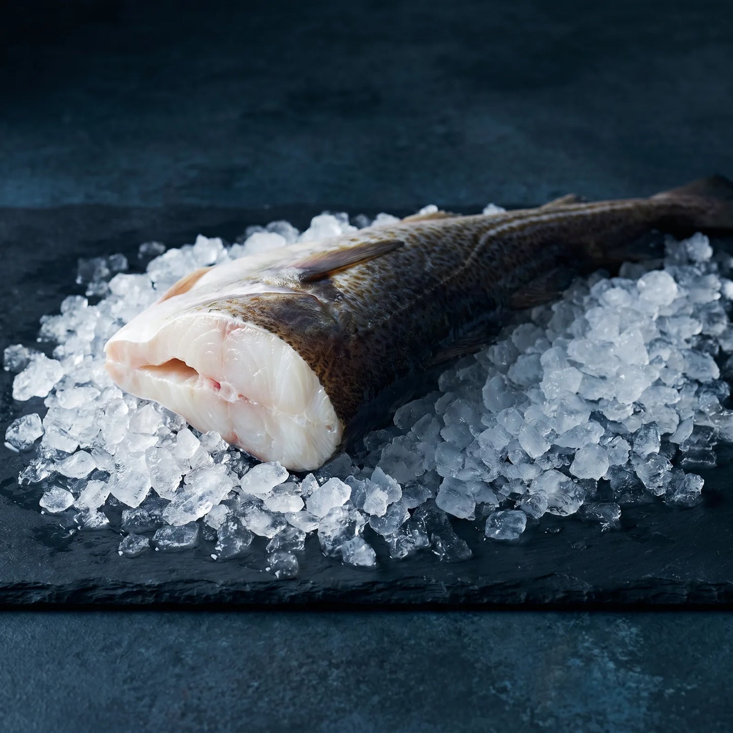 Bacalao Fresco