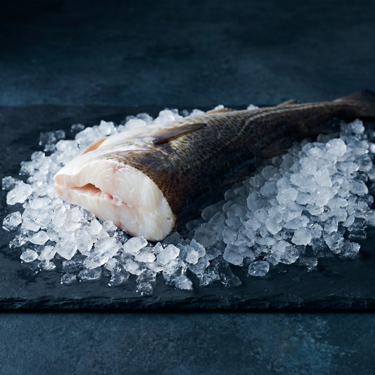 Bacalao Fresco