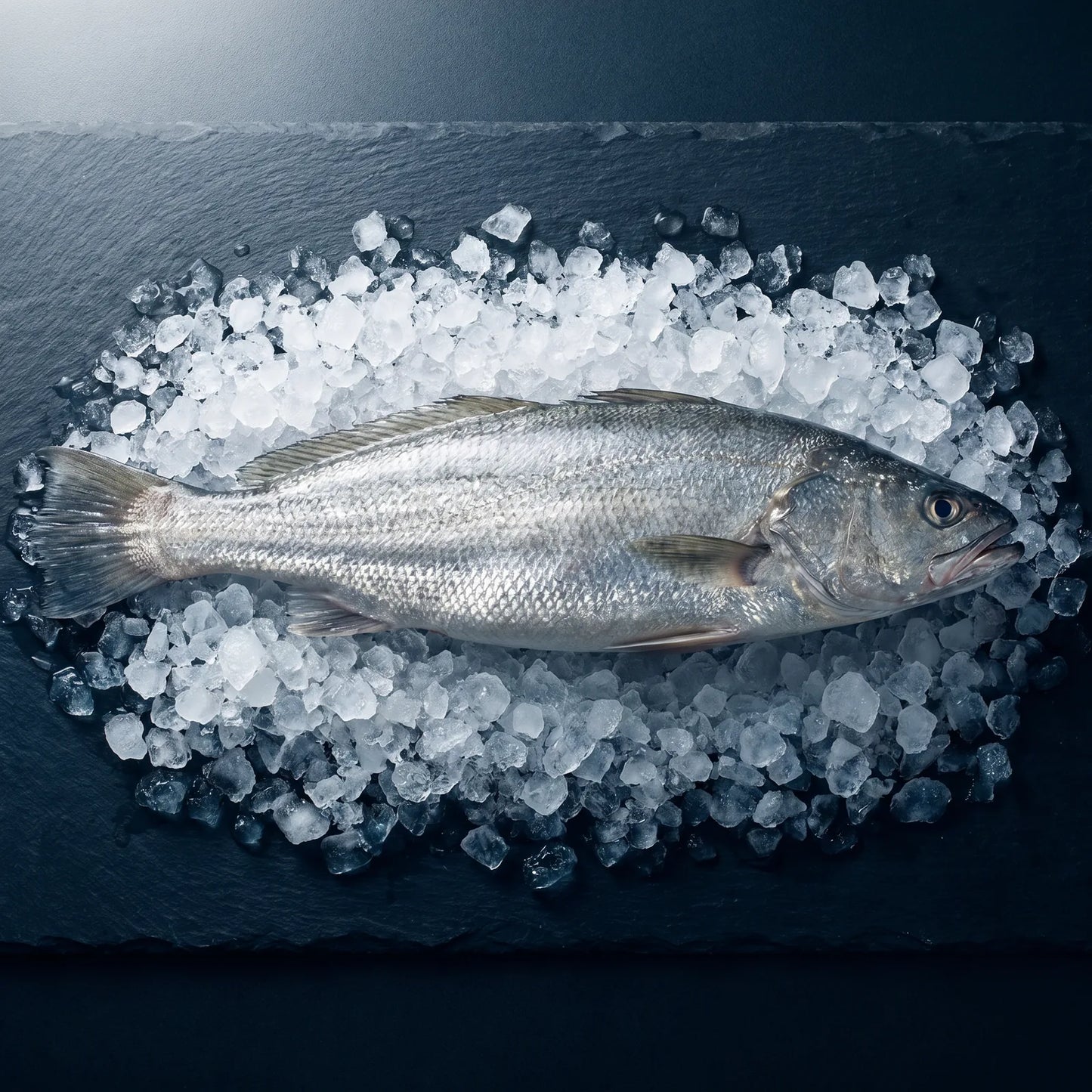 Curvina Fresca Entera