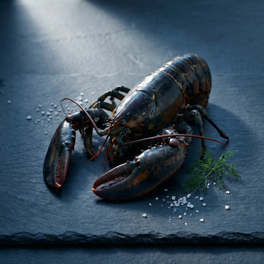 Langosta Bogavante