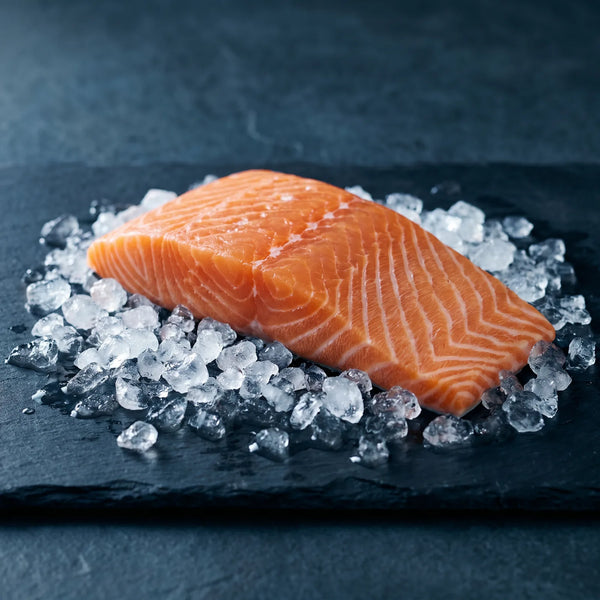 Salmón ORA KING