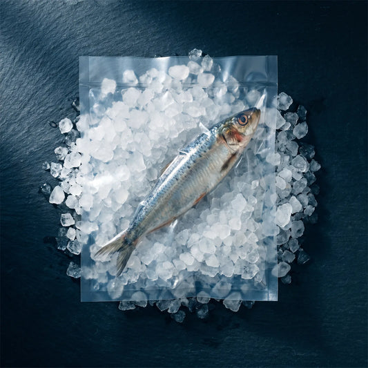 Sardina Entera